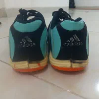 کفش ورزشی|لباس|میاندوآب, |دیوار