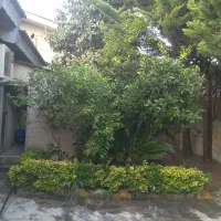 علفتراشی و سمپاشی و هرسکاری