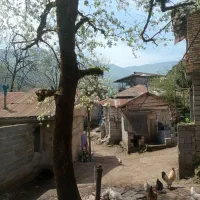 خانه ویلایی روزانه با ویو طبیعت