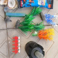 لوازم اکواریم|ماهی|سبزوار, امیریه|دیوار