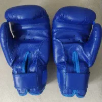 دستکش بوکس|تجهیزات ورزشی|کرج, شاهینویلا|دیوار