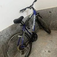 دوچرخه اورلورد