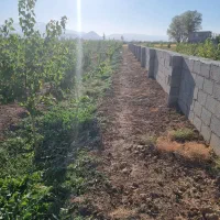 باغ زراعی اربطان مرند|فروش خانه و ویلا|کشکسرای, |دیوار