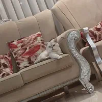 بیریتیش سیلور 3ساله عقیم نشده