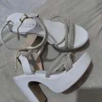 کفش مجلسی و چمدان