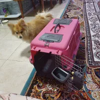 باکس وپارک حیوانات