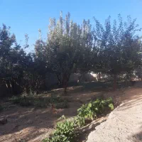 اجاره و رهن ویلا باغ لوکس