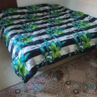 اجاره شبانه واحد تک خوابه|اجارهٔ کوتاهمدت آپارتمان و سوئیت|چالوس, |دیوار