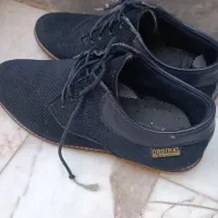 کفش های مردانه|کیف، کفش، کمربند|قم, چهل درخت|دیوار