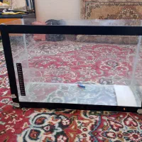 آکواریوم ماهی
