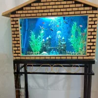 آکواریوم کلبه ای