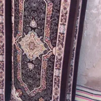 ۴ عدد پشتی|پشتی|گرگان, |دیوار