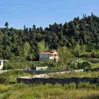 زمین درتالش کوهپایه ای جنگل پول لازم اسالم طولارود