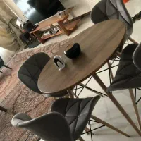 انواع ست میزوصندلی در رنگ بندی