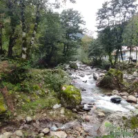 نیازمند کارگر