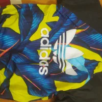 بادگیر تو کرکی