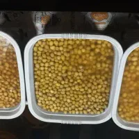 ترشیجات خانگی بینظیر|خوردنی و آشامیدنی|تهران, شهرک ولیعصر شمالی|دیوار