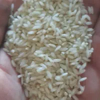 برنج ایرانی(شاه عنبر بو)|خوردنی و آشامیدنی|کرخه, |دیوار