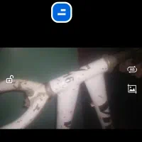 دوچرخه 20|دوچرخه، اسکیت، اسکوتر|مشهد, مصطفی خمینی|دیوار