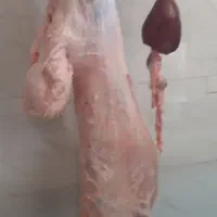 استخدام‌ادمین‌اینستاگرام‌و‌تبلیغات