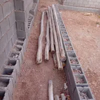 چوب تیر سقفی