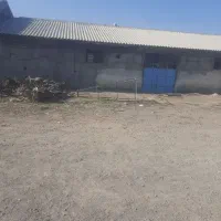 سوله سالن شام اسبی