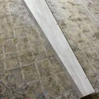 شلف تلوزیون