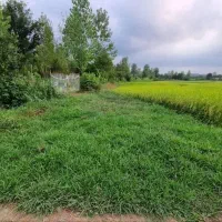 زمین ۷۰۰متری مسکونی|فروش زمین و ملک کلنگی|شفت, |دیوار