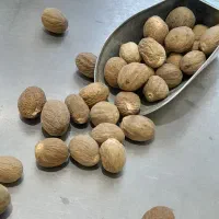 جوز هندی اصل