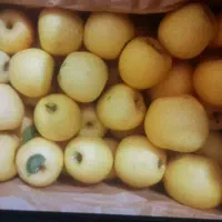 سیب درجه یک