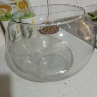 گلدان چینی و تنگ بلور|صنایع دستی و سایر لوازم تزئینی|تهران, نیروی دریایی|دیوار