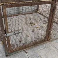 قفس ۱×۱ با تخفیف ویژه تا ساعت ۱۲ امشب|لوازم جانبی حیوانات|میبد, |دیوار