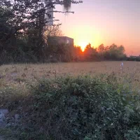 خونه باغ خرمالو و مرکبات