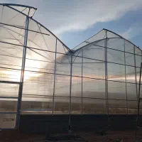 نصب گلخانه|خدمات پیشه و مهارت|گنبد کاووس, |دیوار