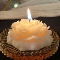 شمع دستساز گل آلاله|صنایع دستی و سایر لوازم تزئینی|کامیاران, |دیوار