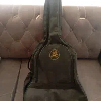 کیف گیتار