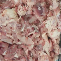 بچه فیله درجه شرکت سمین|خوردنی و آشامیدنی|تهران, بهداشت|دیوار
