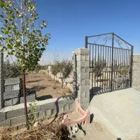 باغچه-550متری-و-400متری-سهیلیه-زعفرانیه-کریم-اباد