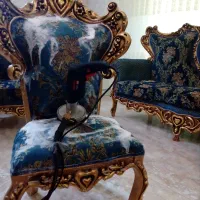 مبل شویی *ستاره شهر* مبلشویی در منزل