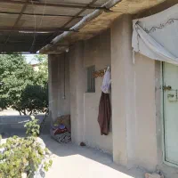 اطلاعیه اجاره بارانداز  حداکثر100تن انگور|اجارهٔ دفتر صنعتی، کشاورزی، تجاری|بناب, |دیوار
