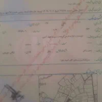 ۷۵من زمین کشاورزی  بفروش میرسد|فروش دفتر صنعتی، کشاورزی، تجاری|دشت ذهاب, |دیوار