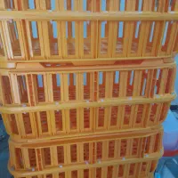 قفس مرغ زنده