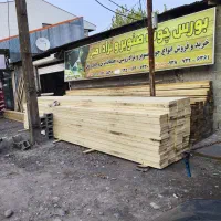 درخت صنوبر|خدمات پیشه و مهارت|آستانه اشرفیه, |دیوار