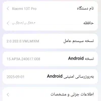 Xiaomi 13T Pro رام 12