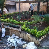 خدمات باغبانی باغچه کاری سرتاسر تهران ازصفر تا صد