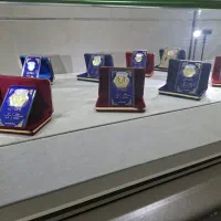 خرید و فروش سکه پارسیان|جواهرات|قرچک, زیبا شهر|دیوار