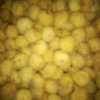 انجیر نیریز