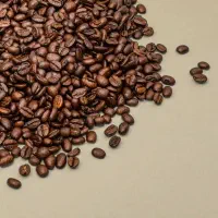 دونه 100روبستا