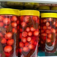ترشی تربچه نقلی