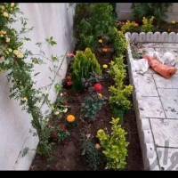 باغبانی و گلکاری و سمپاشی کود هرس  در سرار سرمشهد